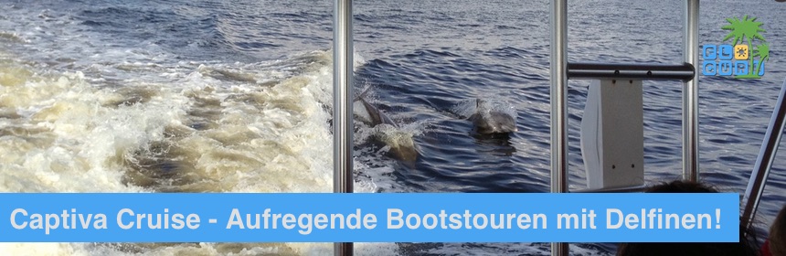 Florida Sehenswuerdigkeiten bei deinem Urlaub in Florida Captiva Cruises Bootstour mit delfinen