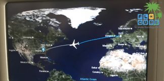 Flüge nach Florida - Tipps und Tricks