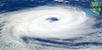 Was Du zu Hurricanes in Florida wissen solltest